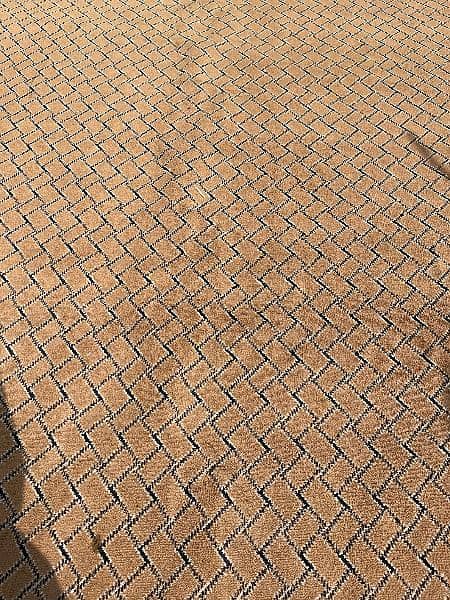 big size carpet . neat and clean 0