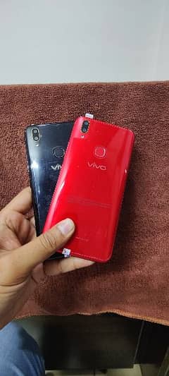 Vivo