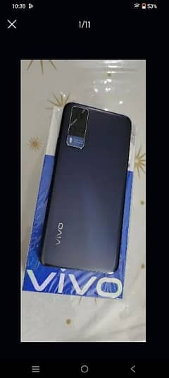 Vivo