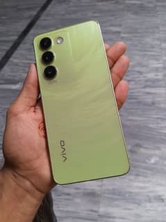 vivo