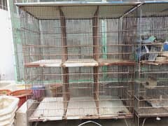 Cage For Birds 0