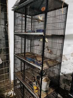 3 cage full size new condition