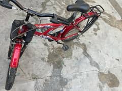 Bicycle for 15000