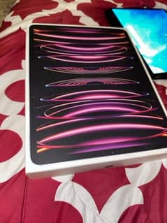 iPad Pro 256 GB 6th Generation Space Gray 12.9 inch