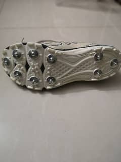 Original Slazenger Cricket spikes