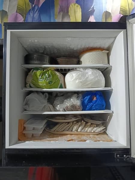 Pel Full size Fridge 2