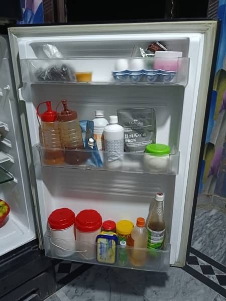 Pel Full size Fridge 5