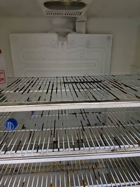 dawlance medium size fridge in good condition 0