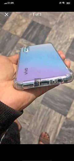 Vivo