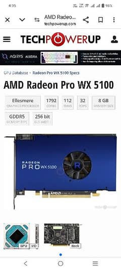 AMD