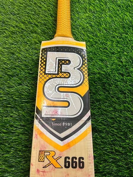 Hardball cricket bat 5