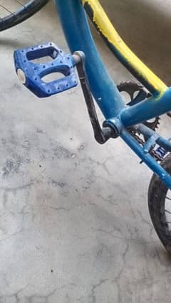 Racing Bicycle New Condition