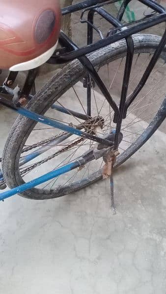 Racing Bicycle New Condition 5