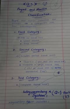 Hand writing assignment job