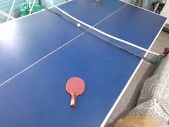 Table tennis