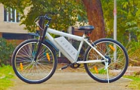 Magnus Electric cycles