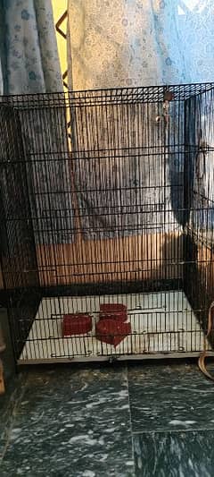 Parrot cage Pinjara