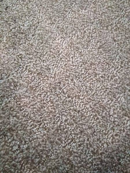 carpet 1