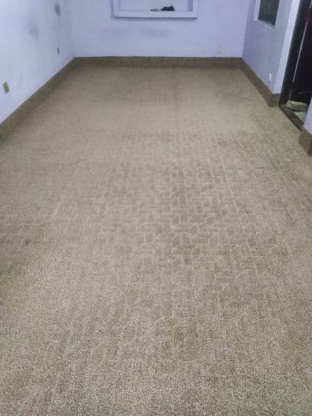 carpet 2