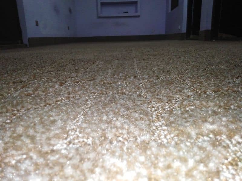 carpet 4