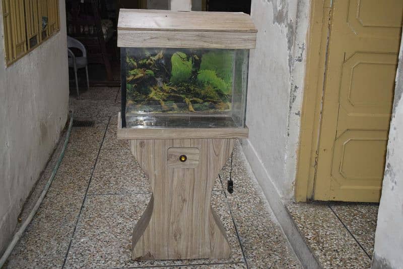 fish aquarium 1