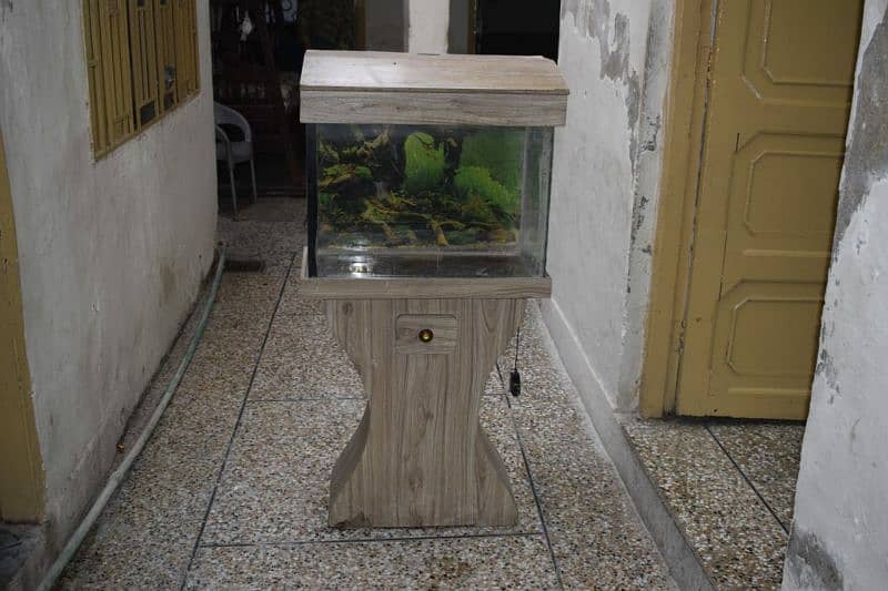 fish aquarium 2