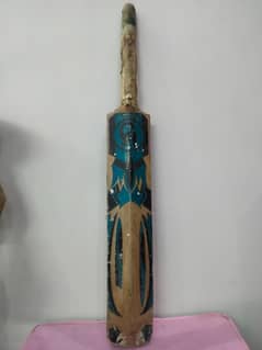 Hard Ball Bat