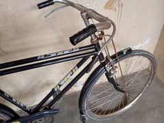 bicycle 24 new condition only 6 months use