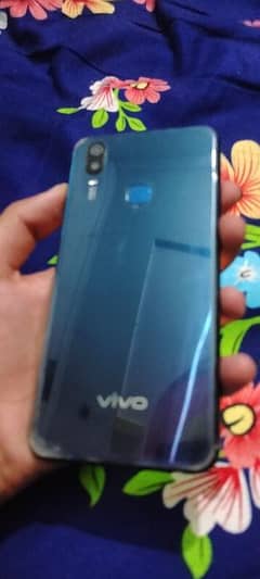 Vivo