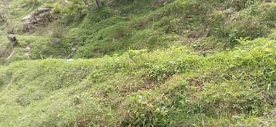 ONE KANAL PLOT IDEAL LOCATION VERY LOWEST PRICE IN HOLE E 11 JUST 5.25