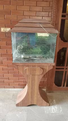 fish aquarium available in reasonable price