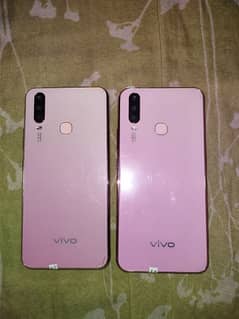 vivo