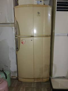 fridge