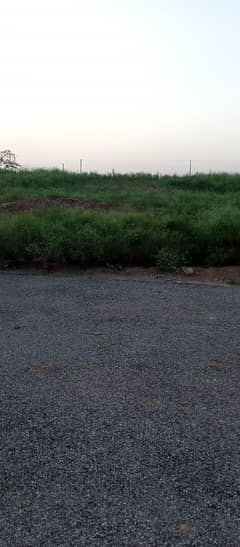 I-12/3 (25x50) Plot For Sale