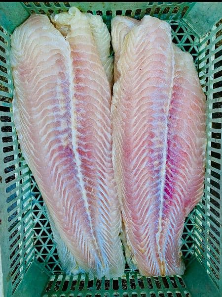 Pangasius Fish Fillets(Boneless) 2