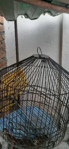 Large cage for birds