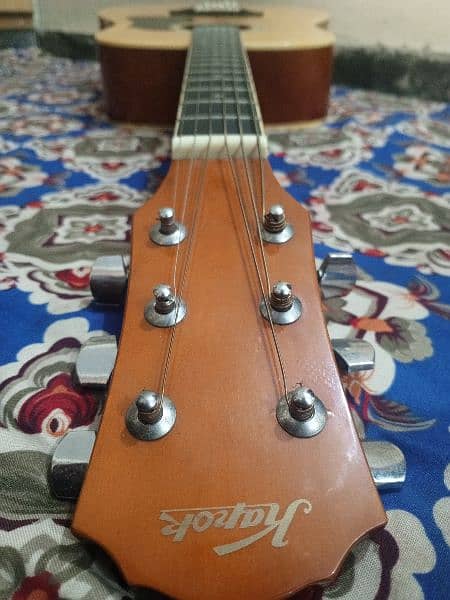 kapok professional guitar 11