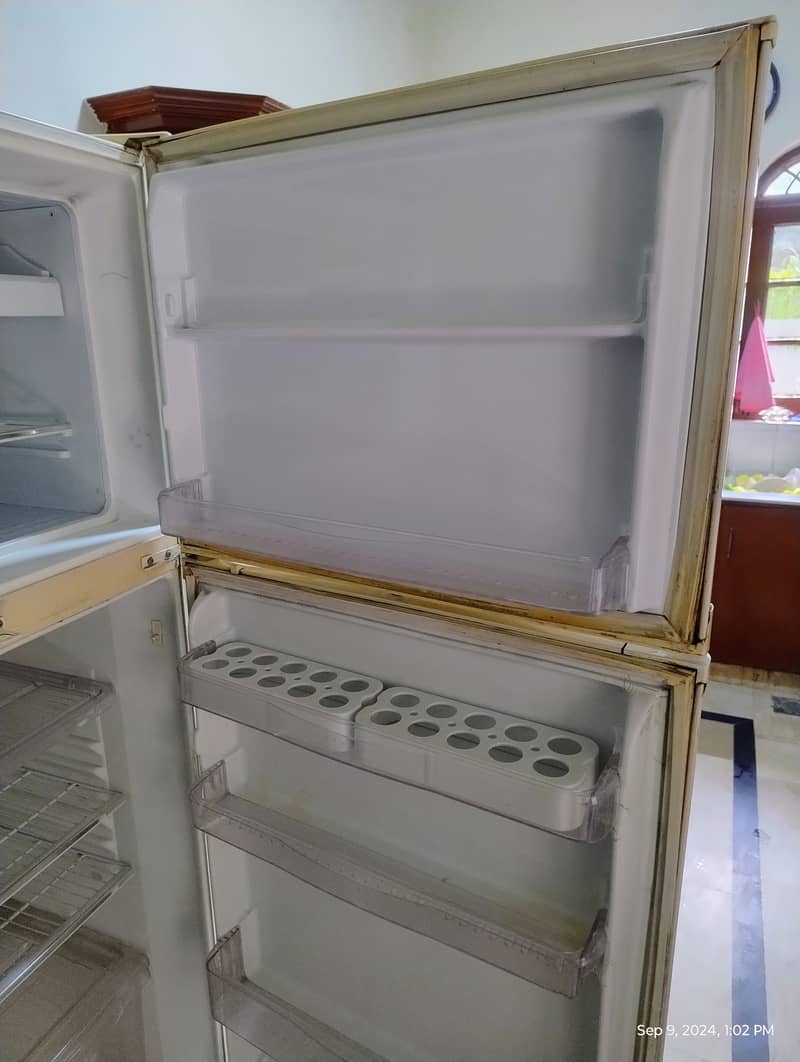 For Sale: Waves Refrigerator Jumbo Size 1