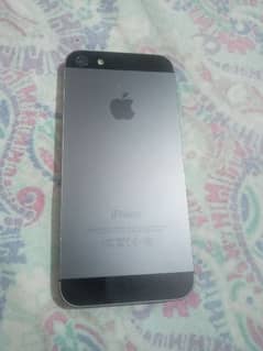 iPhone 5