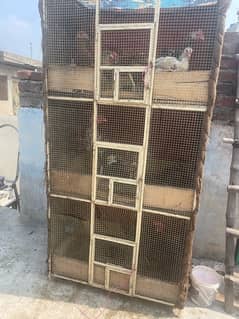 cage for sale