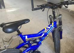 Mountain Cycle for sale, Roman bike. 0