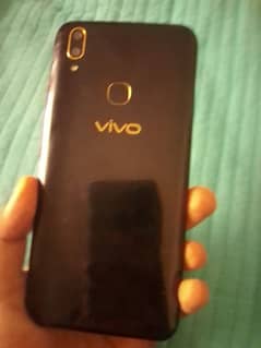 vivo