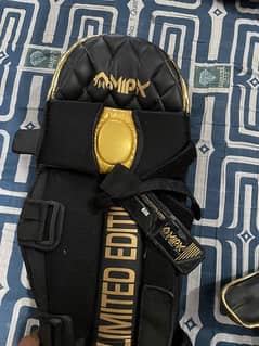 Mipk original pads t20