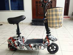 Electric Scooter 24-V Folding 2 Wheel (03 00 766 5 009)