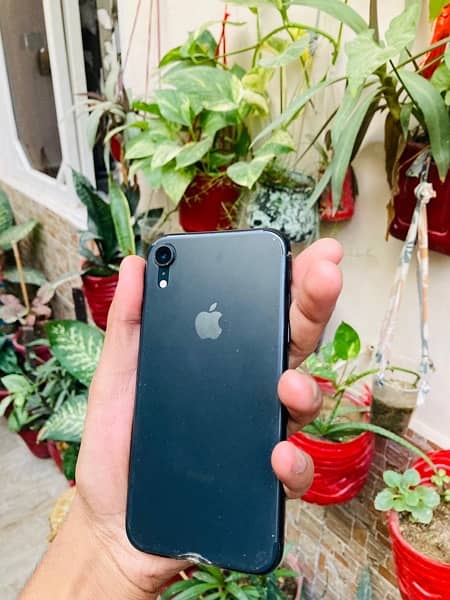 Iphone Xr 64_ non pta FU 1