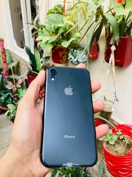 Iphone Xr 64_ non pta FU 8