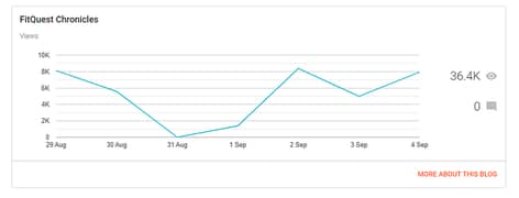 Established Fitness Blog with Consistent Traffic – FitQuest