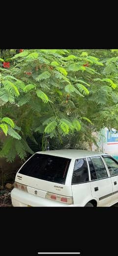 Suzuki Cultus VXR 2015