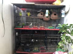 6 portion cage for sale