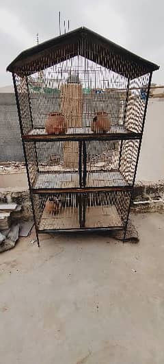 birds Cage